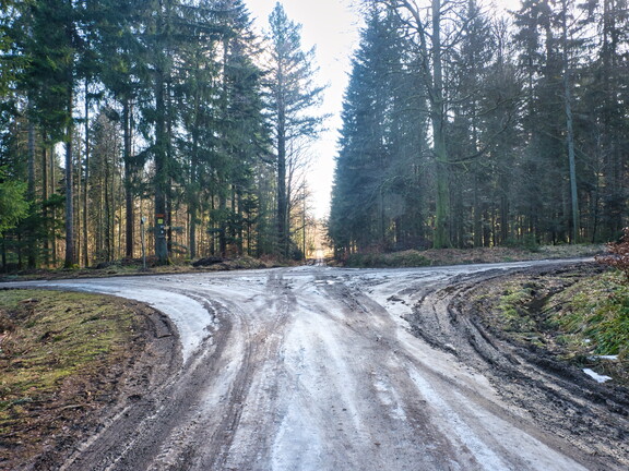 20220205202142-9583e5c8